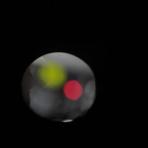 Goose Tapes Vol. 2 (Digital Album)